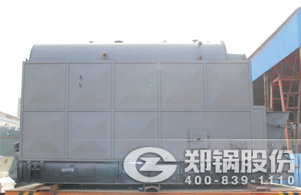 DZL链条炉排锅炉 - 壹定发