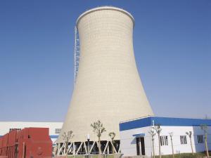 壹定发中标斯里兰卡15MW生物质发电项目