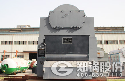 DZL链条炉排锅炉 - 壹定发