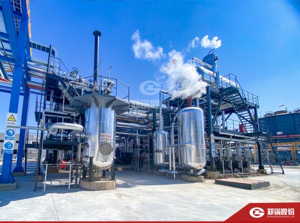 壹定发携手负极质料“一哥”打造SZS型低氮燃气锅炉树模项目