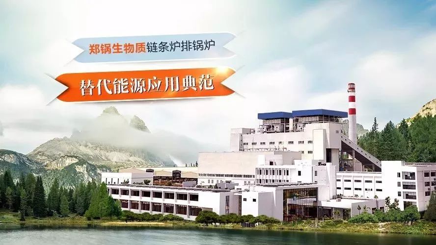 壹定发领衔体例行业手艺标准，，，，，，首次统一生物质链条炉排锅炉手艺条件！