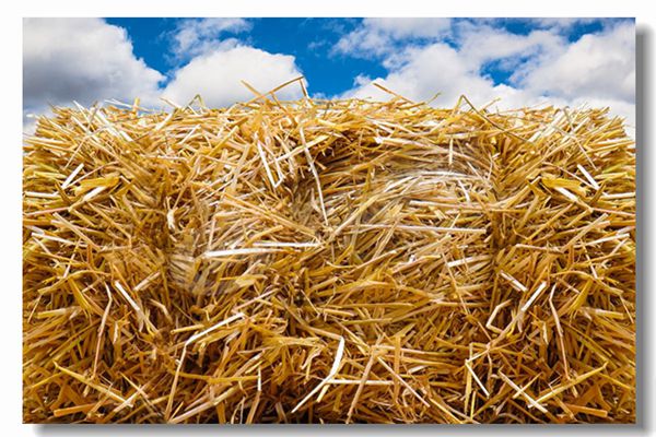 集中供热锅炉的替换用度