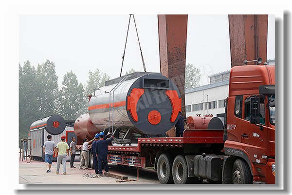 生物质蒸汽锅炉内部结构图是什么样的？？？？？