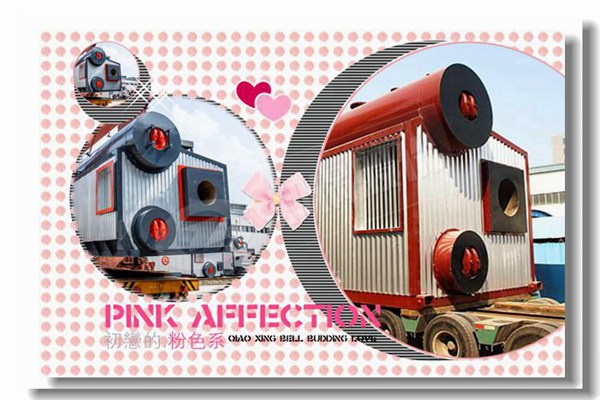 燃煤蒸汽锅炉停炉有哪些注重事项？？？？？