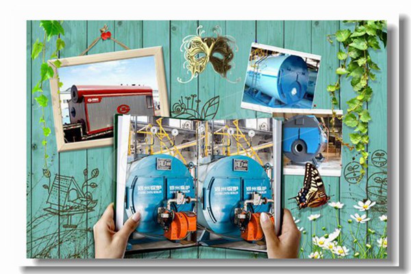 双燃料蒸汽锅炉，，，，，压力16kg