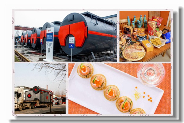 碾米厂的自然气工业锅炉价钱