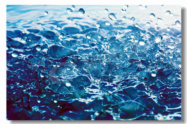 两吨生物质锅炉几多钱？？？？？？？